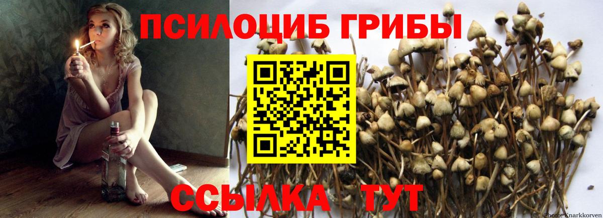Красногорск  Галлюциногенные грибы мицелий  где можно купить   Вход с VPN 
